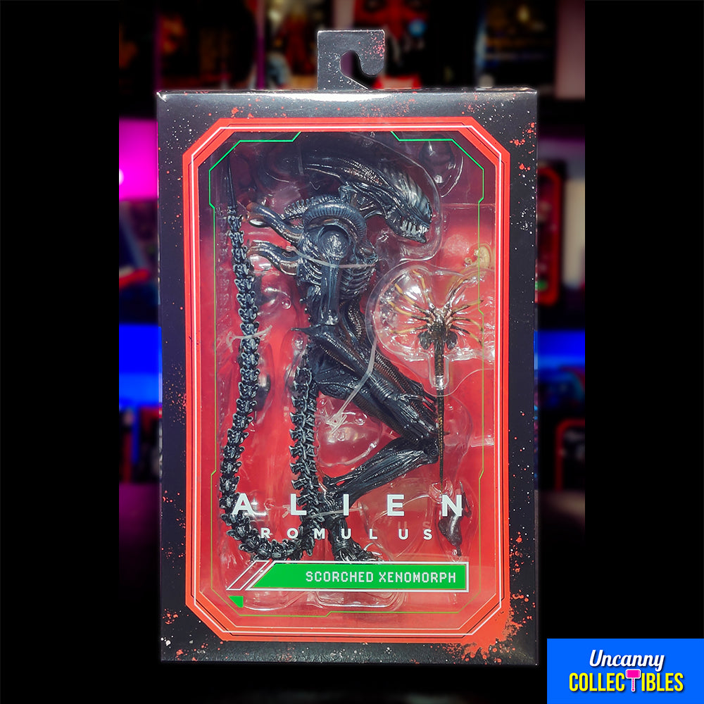NECA Alien Romulus Ultimate Scorched Xenomorph 23 cm Action Figure – Alien, NECA, 23 cm, 2024, brand new collector item, Uncanny Collectibles Dublin Ireland