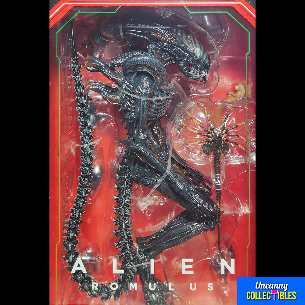 NECA Alien Romulus Ultimate Scorched Xenomorph 23 cm Action Figure – Alien, NECA, 23 cm, 2024, brand new collector item, Uncanny Collectibles Dublin Ireland