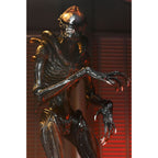 NECA Alien Romulus Ultimate Scorched Xenomorph 23 cm Action Figure – Alien, NECA, 23 cm, 2024, brand new collector item, Uncanny Collectibles Dublin Ireland