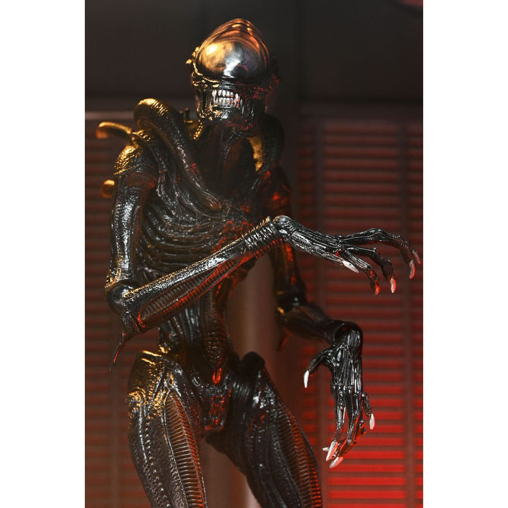NECA Alien Romulus Ultimate Scorched Xenomorph 23 cm Action Figure – Alien, NECA, 23 cm, 2024, brand new collector item, Uncanny Collectibles Dublin Ireland