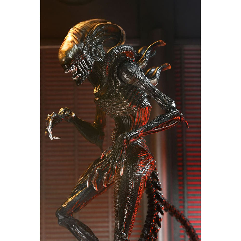 NECA Alien Romulus Ultimate Scorched Xenomorph 23 cm Action Figure – Alien, NECA, 23 cm, 2024, brand new collector item, Uncanny Collectibles Dublin Ireland