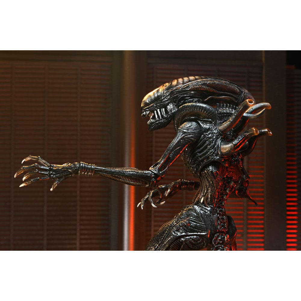 NECA Alien Romulus Ultimate Scorched Xenomorph 23 cm Action Figure – Alien, NECA, 23 cm, 2024, brand new collector item, Uncanny Collectibles Dublin Ireland