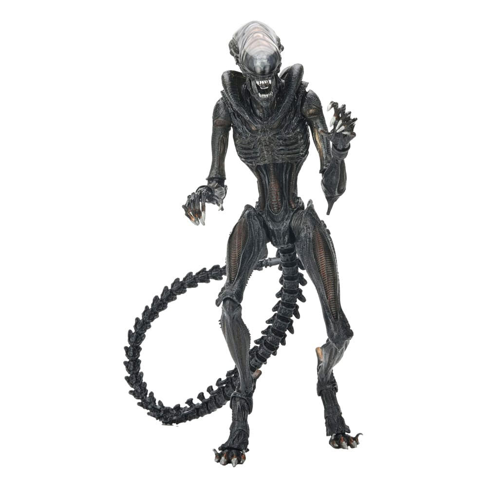 NECA Alien Romulus Ultimate Scorched Xenomorph 23 cm Action Figure – Alien, NECA, 23 cm, 2024, brand new collector item, Uncanny Collectibles Dublin Ireland