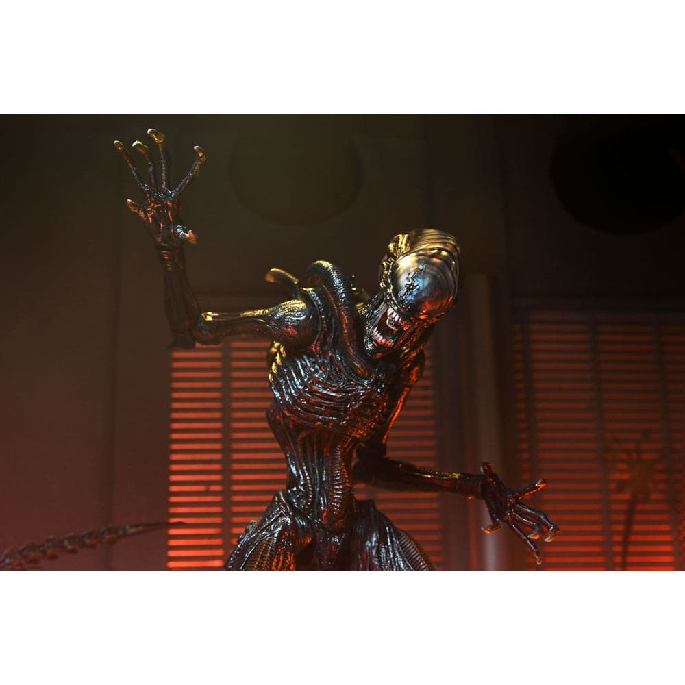 NECA Alien Romulus Ultimate Scorched Xenomorph 23 cm Action Figure – Alien, NECA, 23 cm, 2024, brand new collector item, Uncanny Collectibles Dublin Ireland