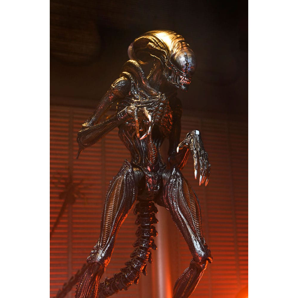 NECA Alien Romulus Ultimate Scorched Xenomorph 23 cm Action Figure – Alien, NECA, 23 cm, 2024, brand new collector item, Uncanny Collectibles Dublin Ireland