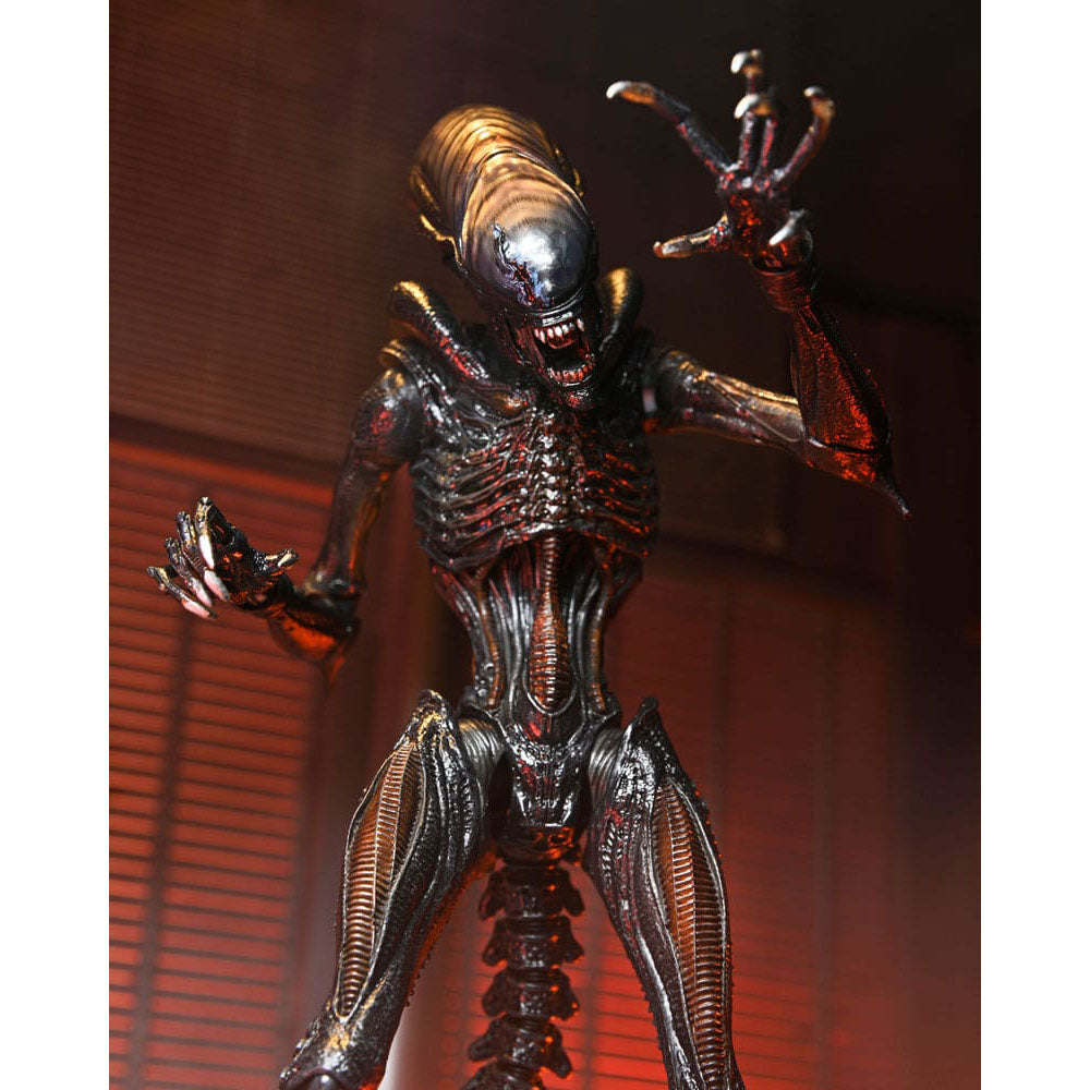 NECA Alien Romulus Ultimate Scorched Xenomorph 23 cm Action Figure – Alien, NECA, 23 cm, 2024, brand new collector item, Uncanny Collectibles Dublin Ireland