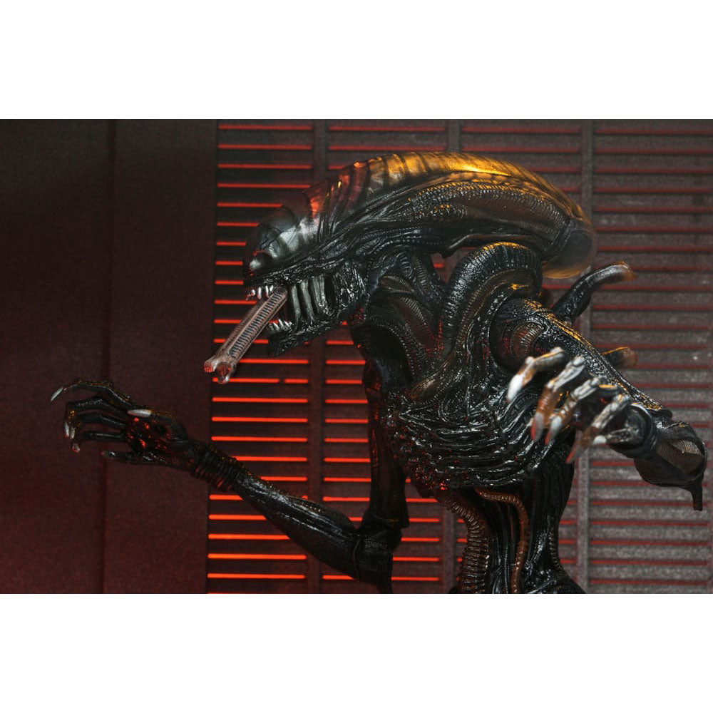 NECA Alien Romulus Ultimate Scorched Xenomorph 23 cm Action Figure – Alien, NECA, 23 cm, 2024, brand new collector item, Uncanny Collectibles Dublin Ireland