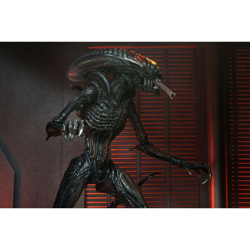 NECA Alien Romulus Ultimate Scorched Xenomorph 23 cm Action Figure – Alien, NECA, 23 cm, 2024, brand new collector item, Uncanny Collectibles Dublin Ireland