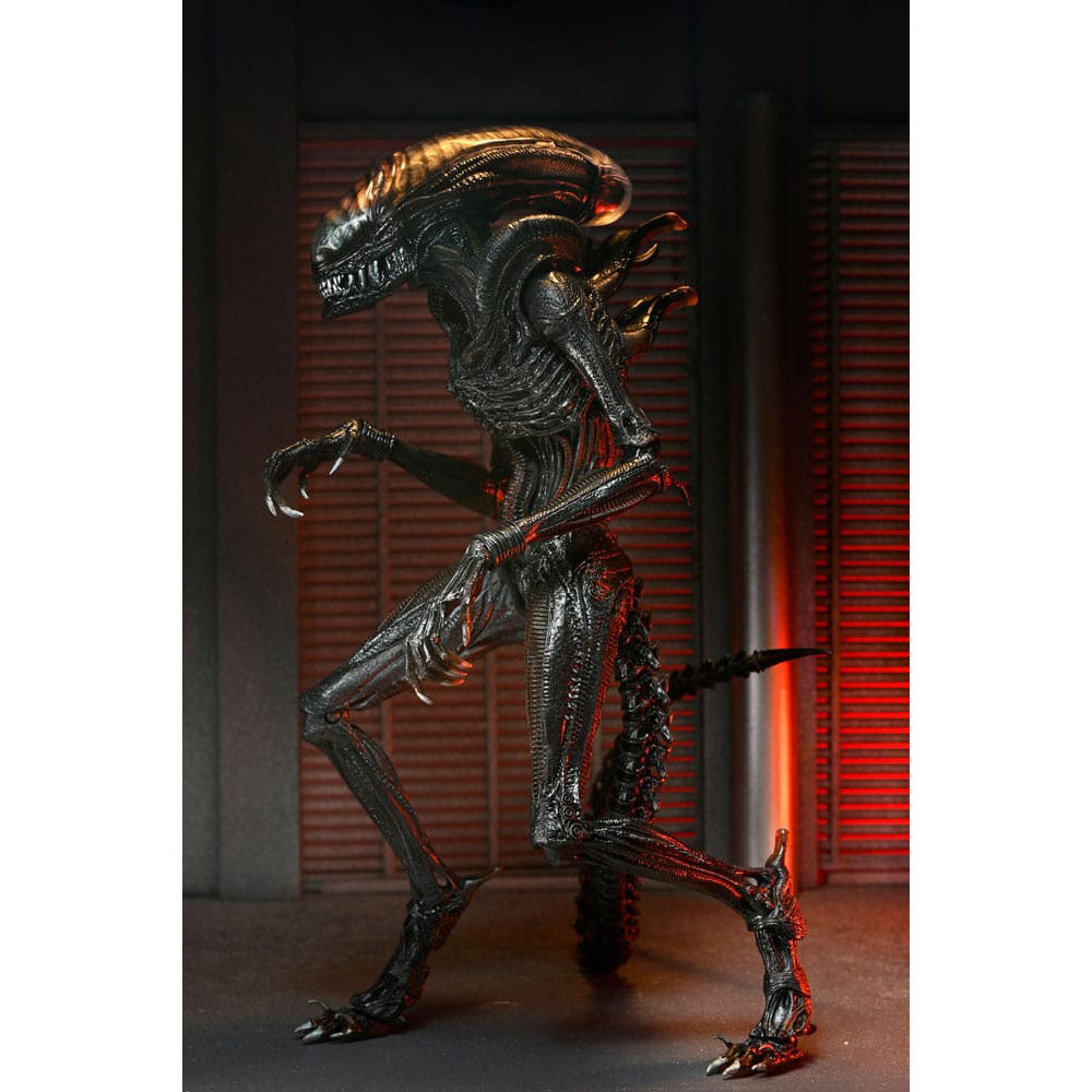 NECA Alien Romulus Ultimate Scorched Xenomorph 23 cm Action Figure – Alien, NECA, 23 cm, 2024, brand new collector item, Uncanny Collectibles Dublin Ireland