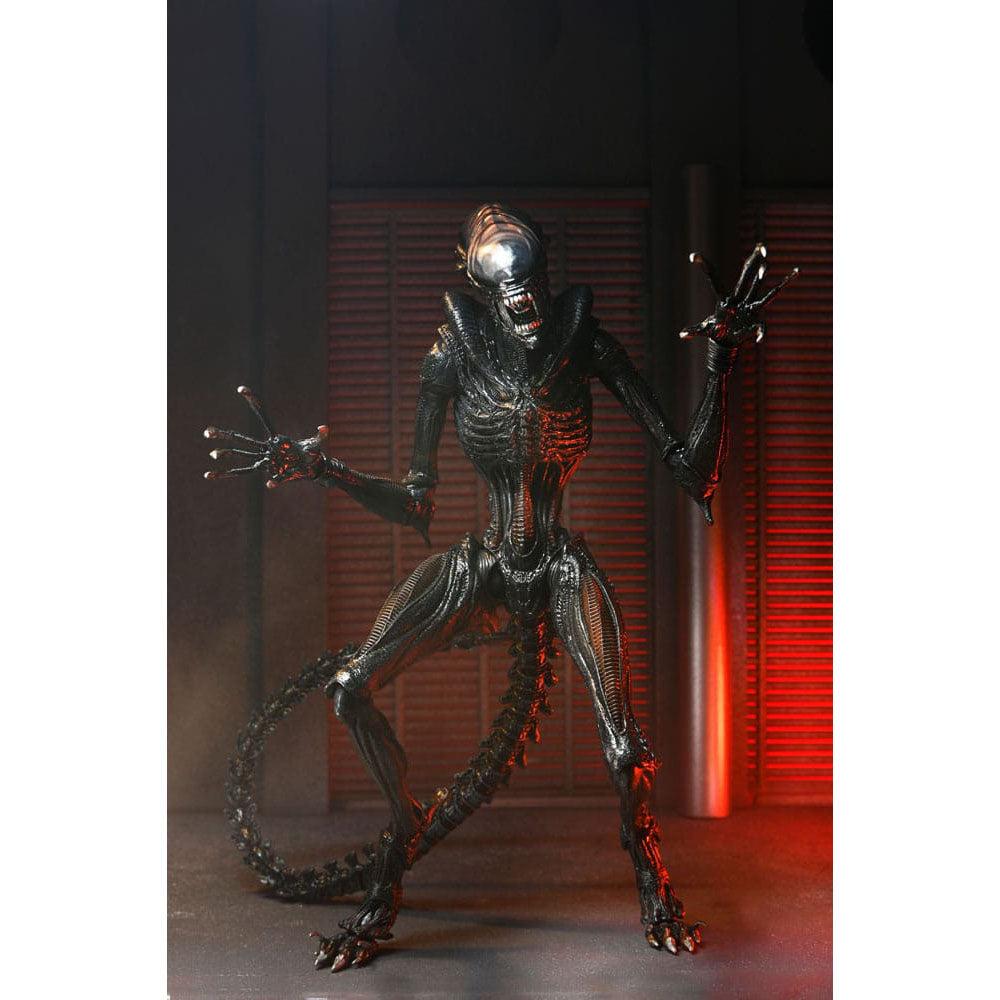 NECA Alien Romulus Ultimate Scorched Xenomorph 23 cm Action Figure – Alien, NECA, 23 cm, 2024, brand new collector item, Uncanny Collectibles Dublin Ireland