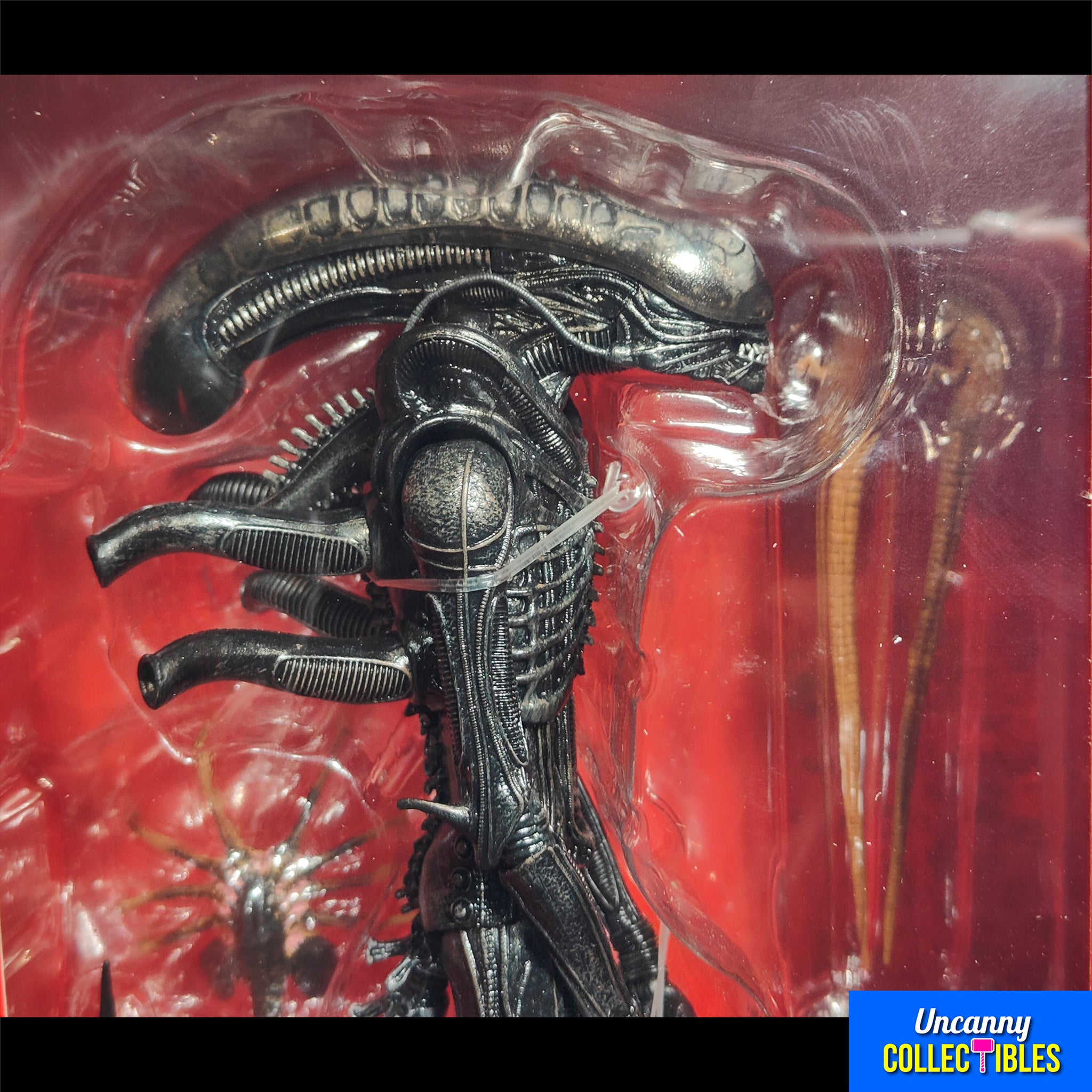 NECA Alien Romulus Ultimate XX121 Xenomorph Action Figure 2025 23cm – Alien, NECA, 23 cm, 2025, brand new collector item, Uncanny Collectibles Dublin Ireland