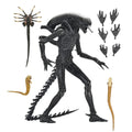 NECA Alien Romulus Ultimate XX121 Xenomorph Action Figure 2025 23cm