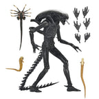 NECA Alien Romulus Ultimate XX121 Xenomorph Action Figure 2025 23cm