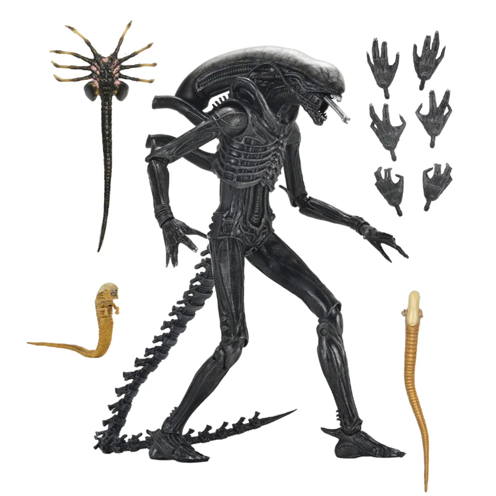 NECA Alien Romulus Ultimate XX121 Xenomorph Action Figure 2025 23cm – Alien, NECA, 23 cm, 2025, brand new collector item, Uncanny Collectibles Dublin Ireland