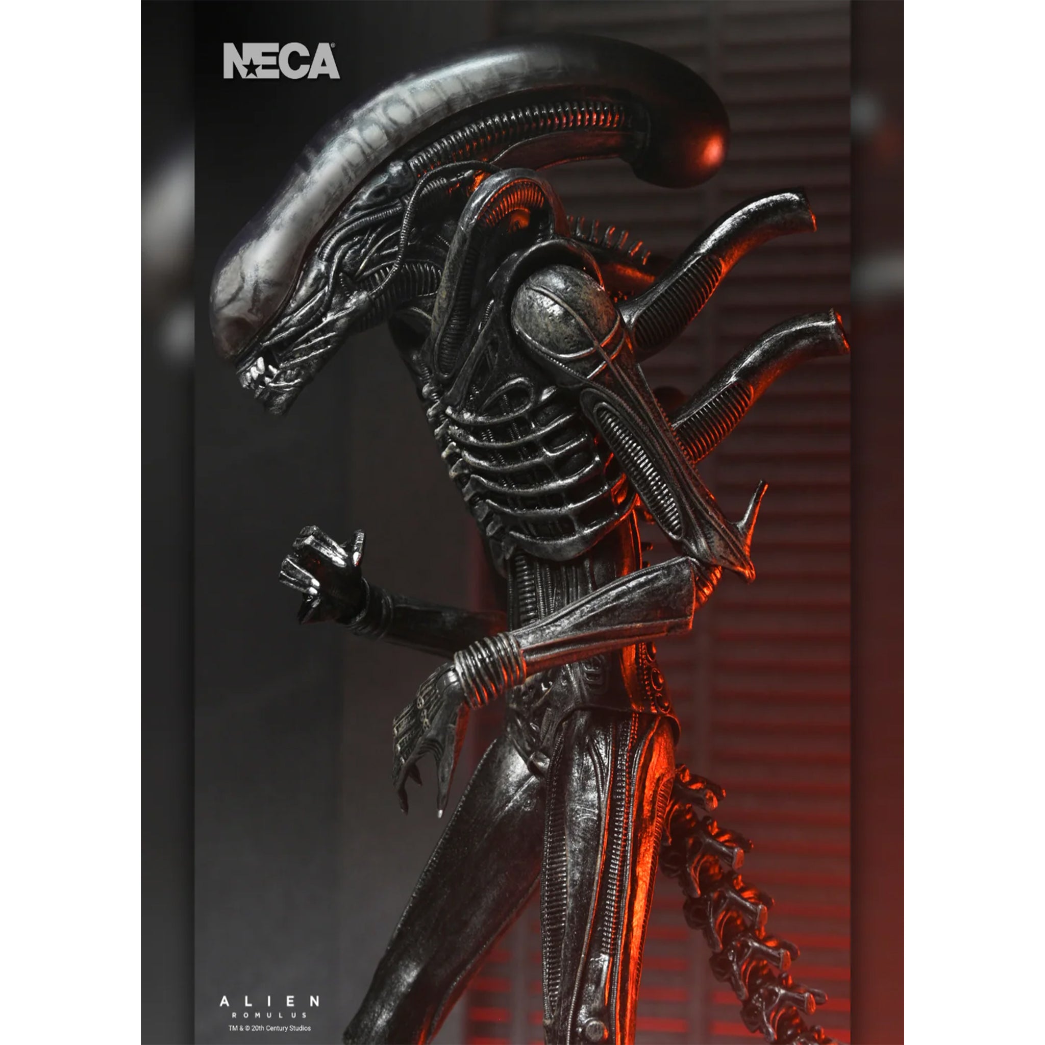 NECA Alien Romulus Ultimate XX121 Xenomorph Action Figure 2025 23cm – Alien, NECA, 23 cm, 2025, brand new collector item, Uncanny Collectibles Dublin Ireland