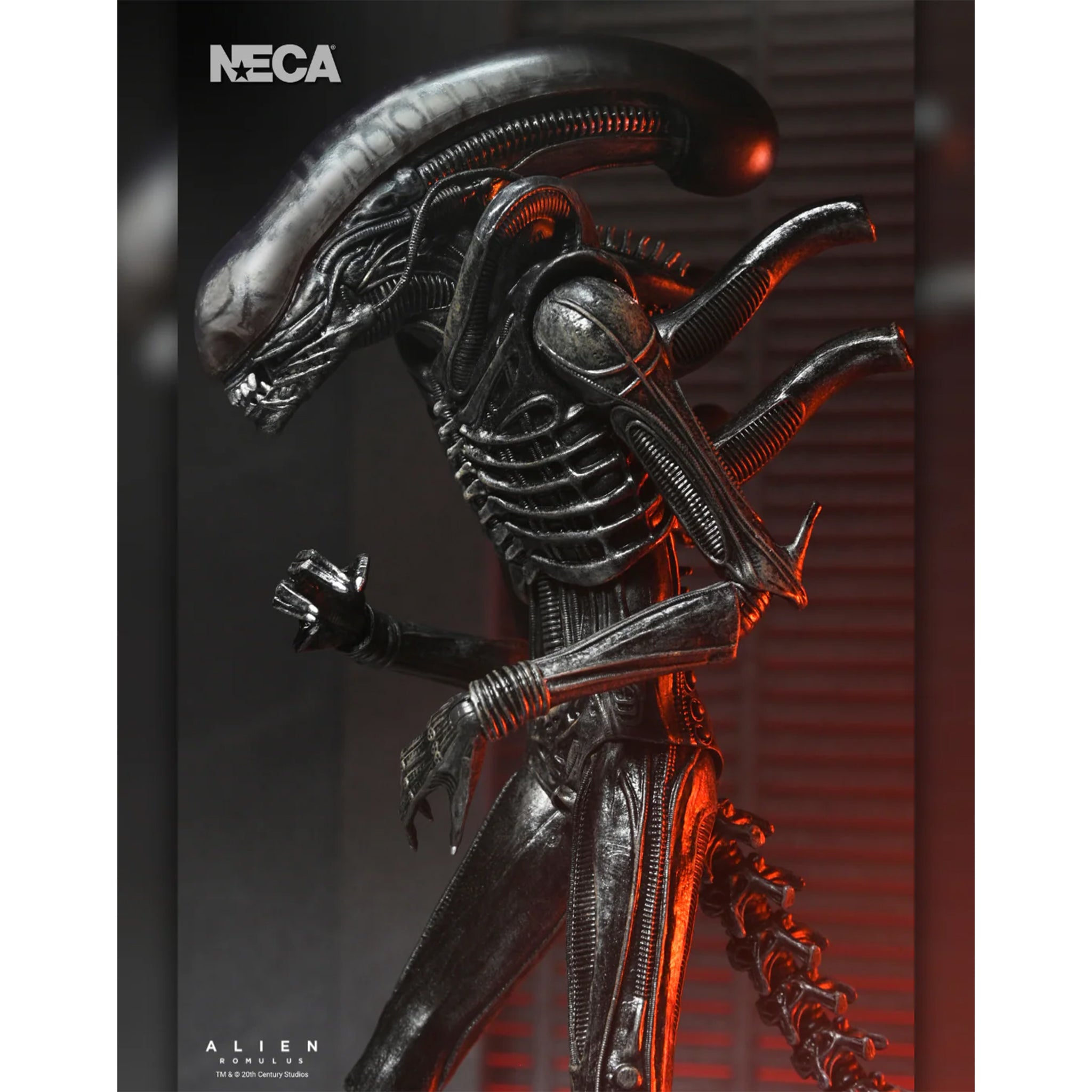 NECA Alien Romulus Ultimate XX121 Xenomorph Action Figure 2025 23cm – Alien, NECA, 23 cm, 2025, brand new collector item, Uncanny Collectibles Dublin Ireland