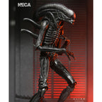 NECA Alien Romulus Ultimate XX121 Xenomorph Action Figure 2025 23cm