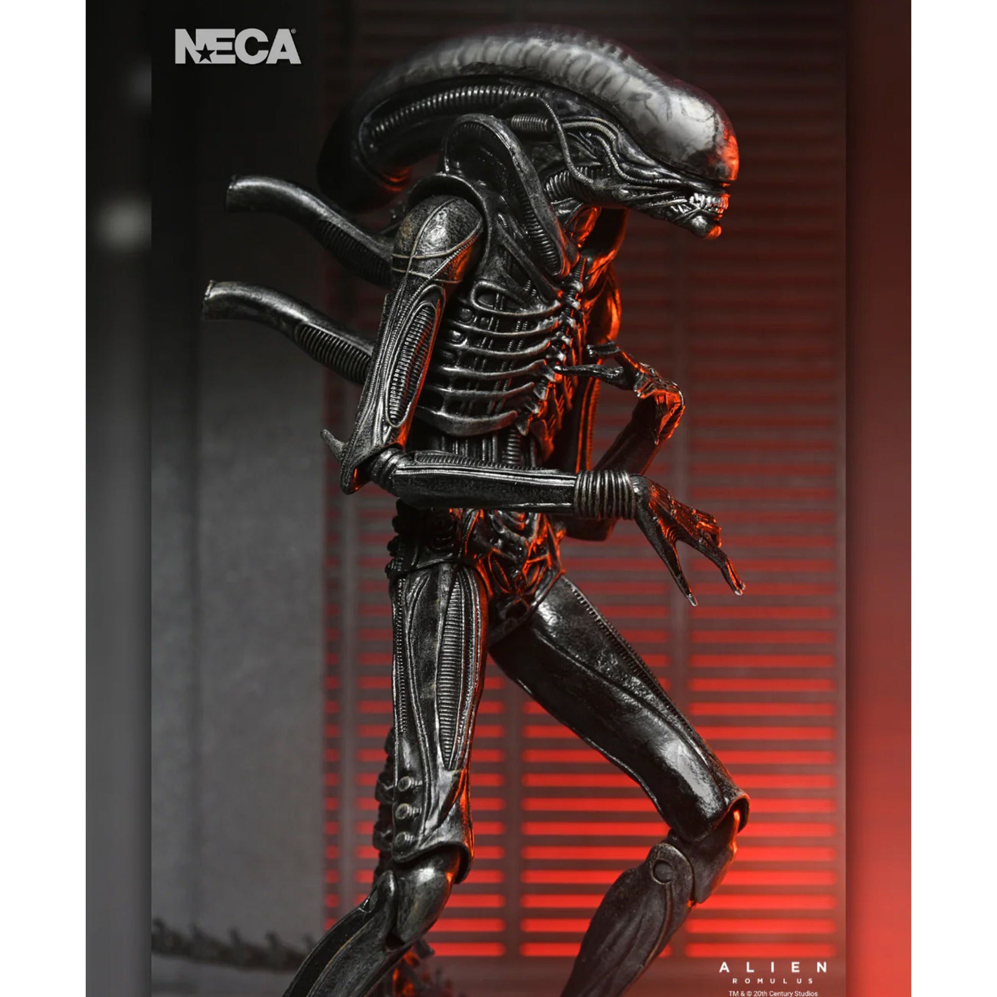 NECA Alien Romulus Ultimate XX121 Xenomorph Action Figure 2025 23cm – Alien, NECA, 23 cm, 2025, brand new collector item, Uncanny Collectibles Dublin Ireland