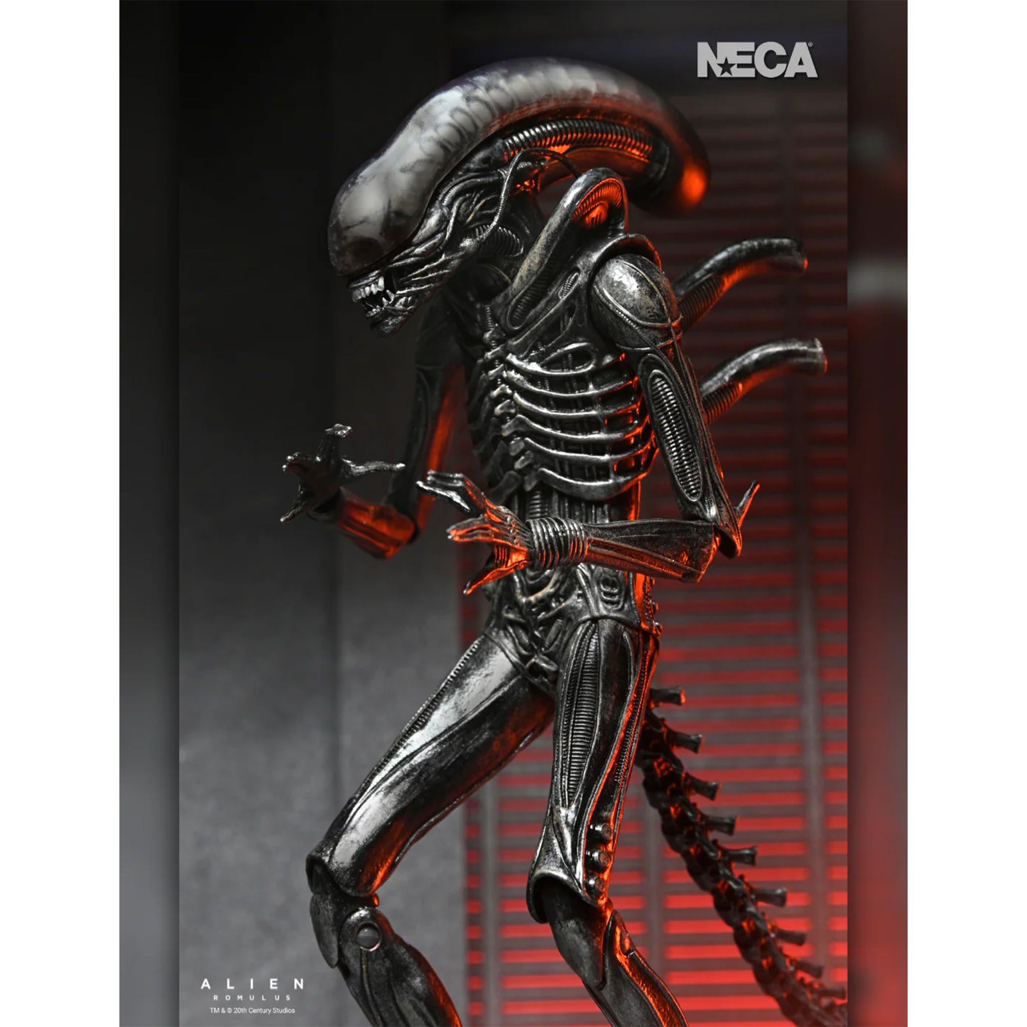 NECA Alien Romulus Ultimate XX121 Xenomorph Action Figure 2025 23cm – Alien, NECA, 23 cm, 2025, brand new collector item, Uncanny Collectibles Dublin Ireland