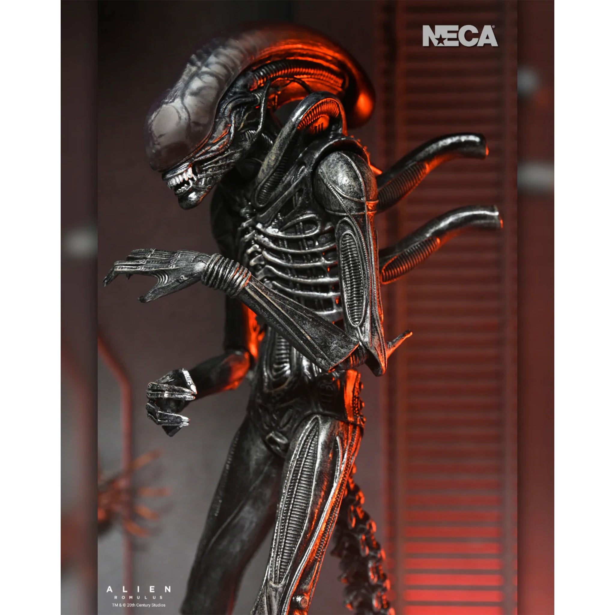 NECA Alien Romulus Ultimate XX121 Xenomorph Action Figure 2025 23cm – Alien, NECA, 23 cm, 2025, brand new collector item, Uncanny Collectibles Dublin Ireland