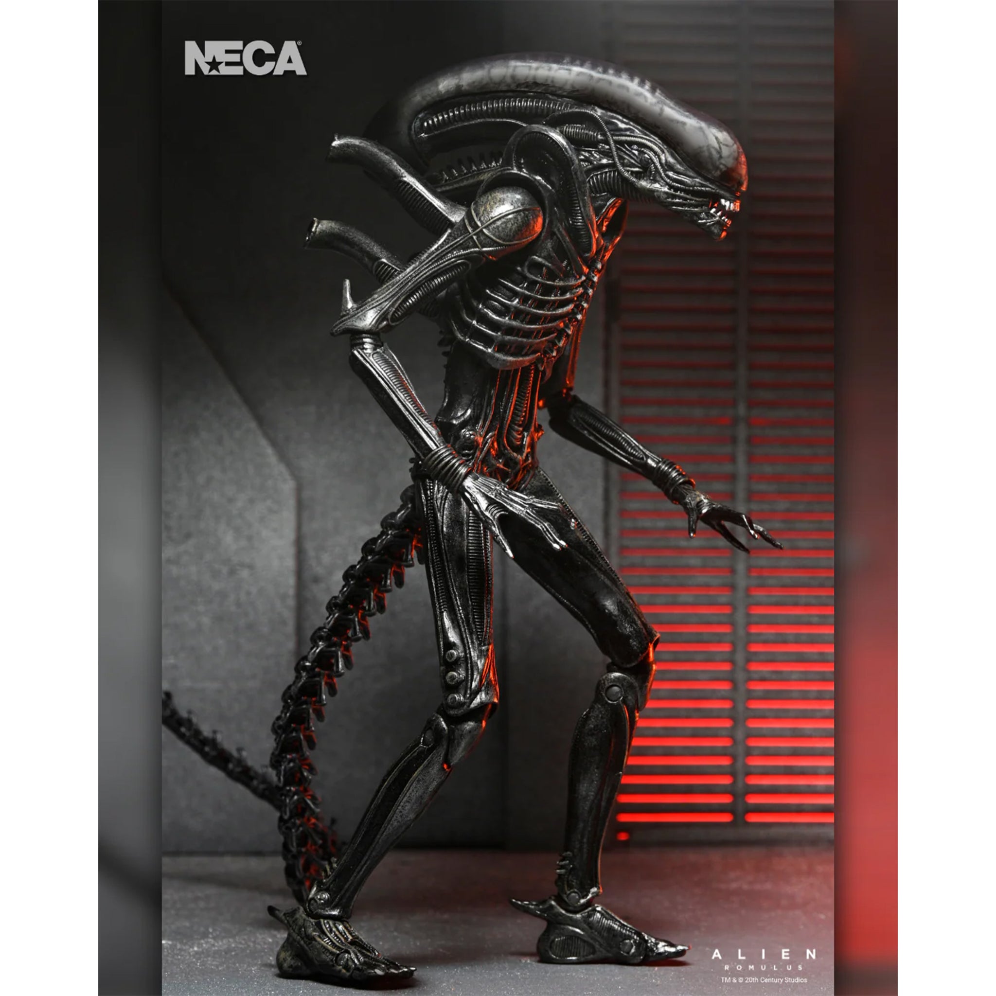NECA Alien Romulus Ultimate XX121 Xenomorph Action Figure 2025 23cm – Alien, NECA, 23 cm, 2025, brand new collector item, Uncanny Collectibles Dublin Ireland