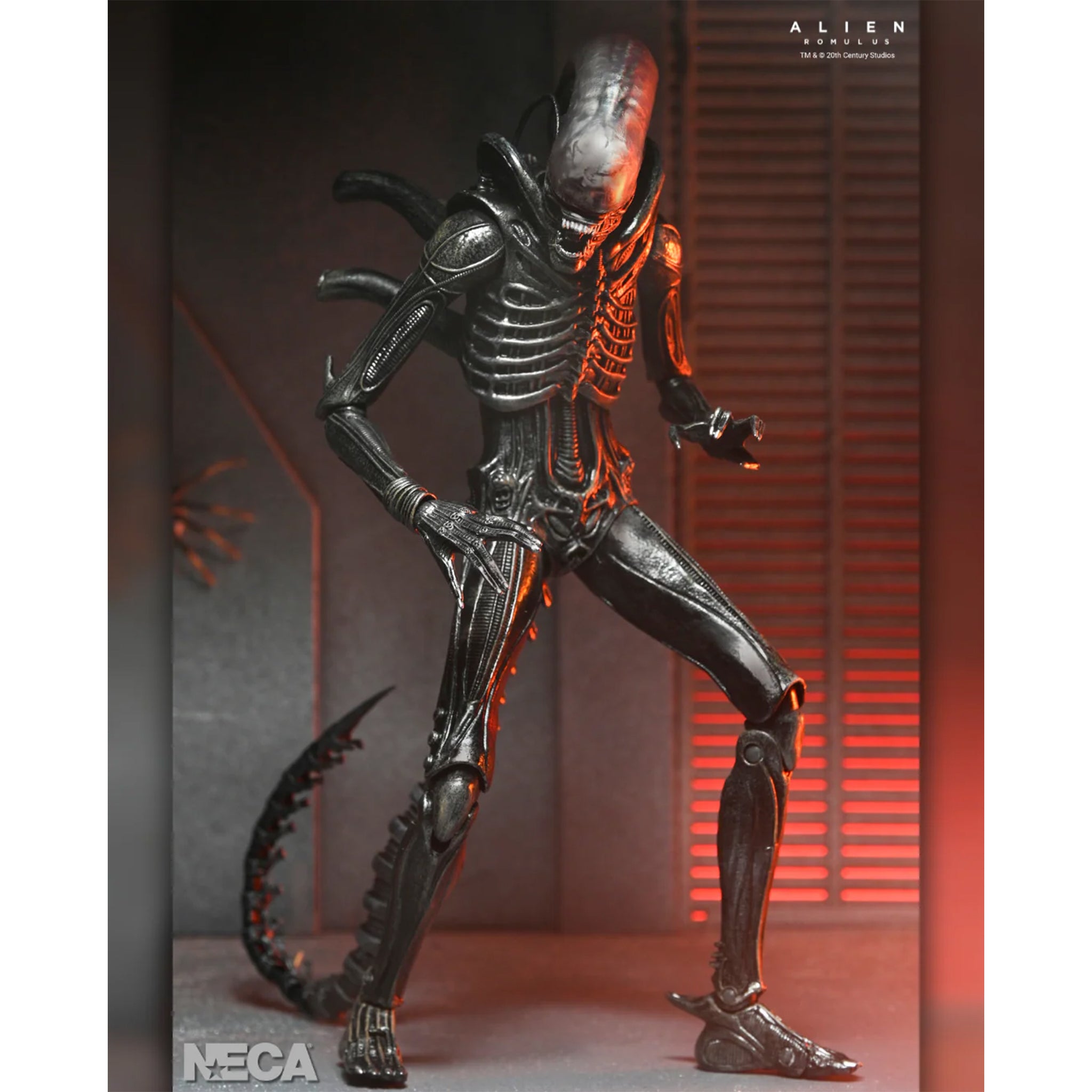 NECA Alien Romulus Ultimate XX121 Xenomorph Action Figure 2025 23cm – Alien, NECA, 23 cm, 2025, brand new collector item, Uncanny Collectibles Dublin Ireland