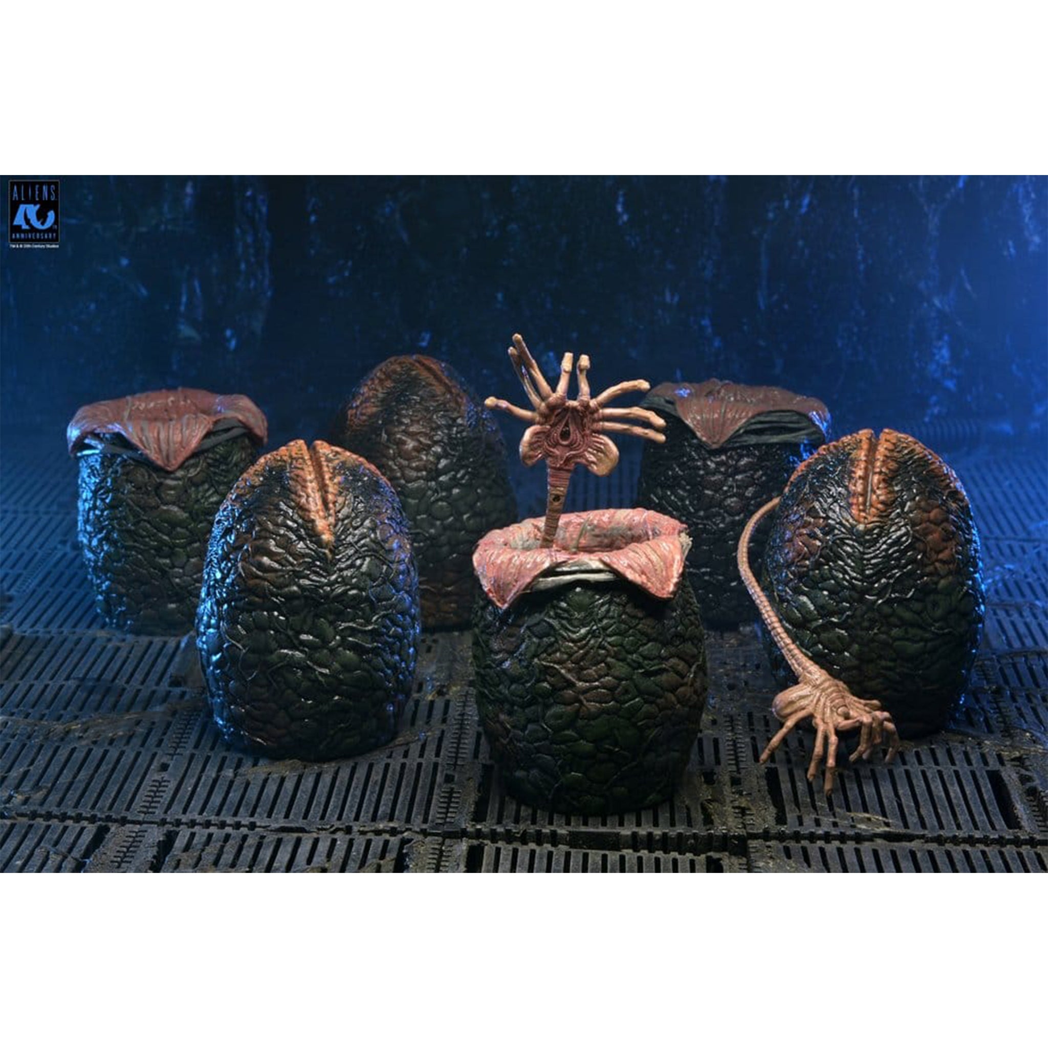 NECA Aliens 40th Anniversary Carton of Alien Eggs 6-Pack Accessory Set – Alien, NECA, -, brand new collector item, Uncanny Collectibles Dublin Ireland