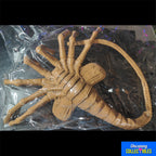 NECA Aliens Facehugger 1:1 Foam Replica Prop – Alien, NECA, 105 cm, 2023, brand new collector item, Uncanny Collectibles Dublin Ireland