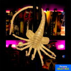 NECA Aliens Facehugger 1:1 Foam Replica Prop – Alien, NECA, 105 cm, 2023, brand new collector item, Uncanny Collectibles Dublin Ireland
