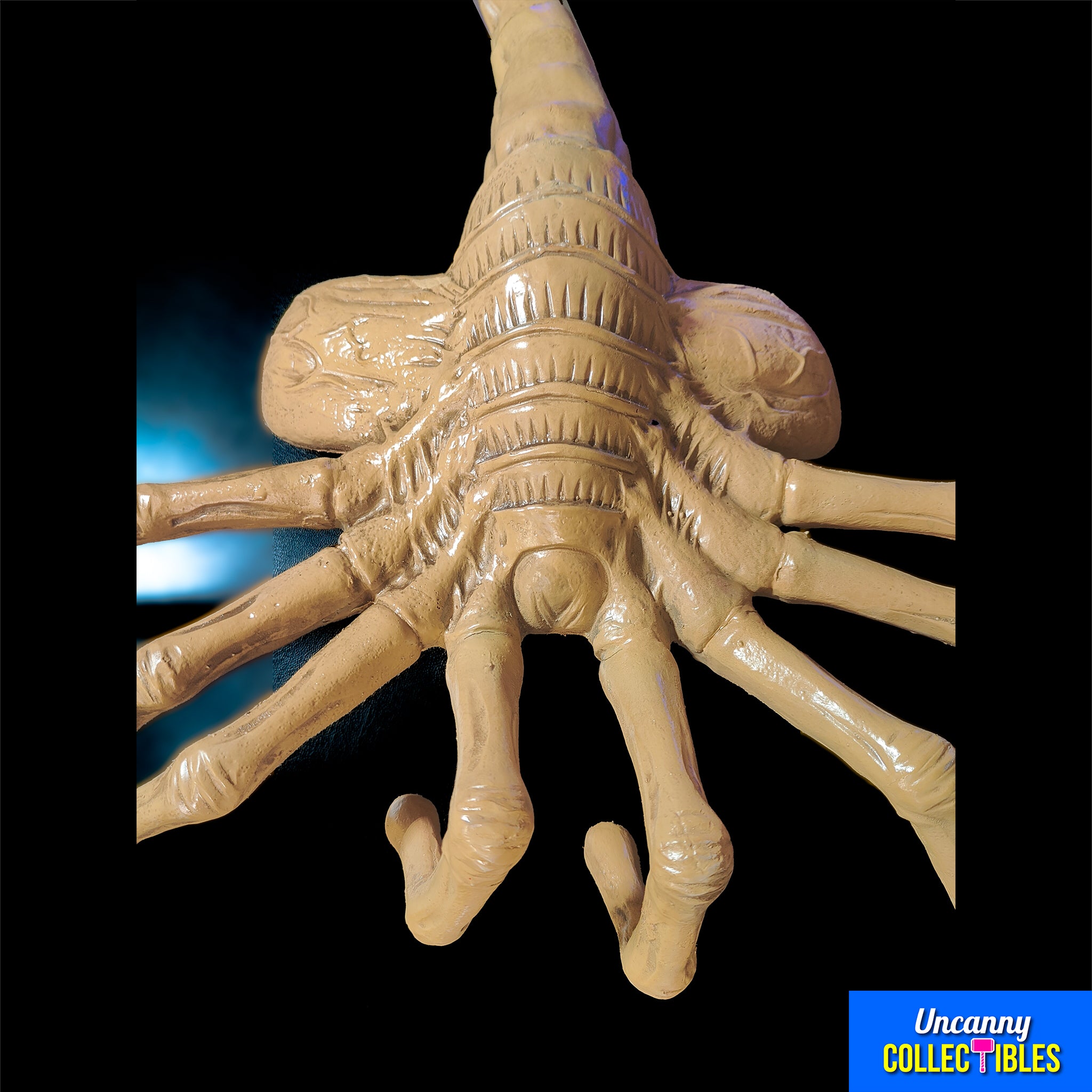 Aliens Facehugger Foam Replica 1:1 NECA Prop – Uncanny Collectibles