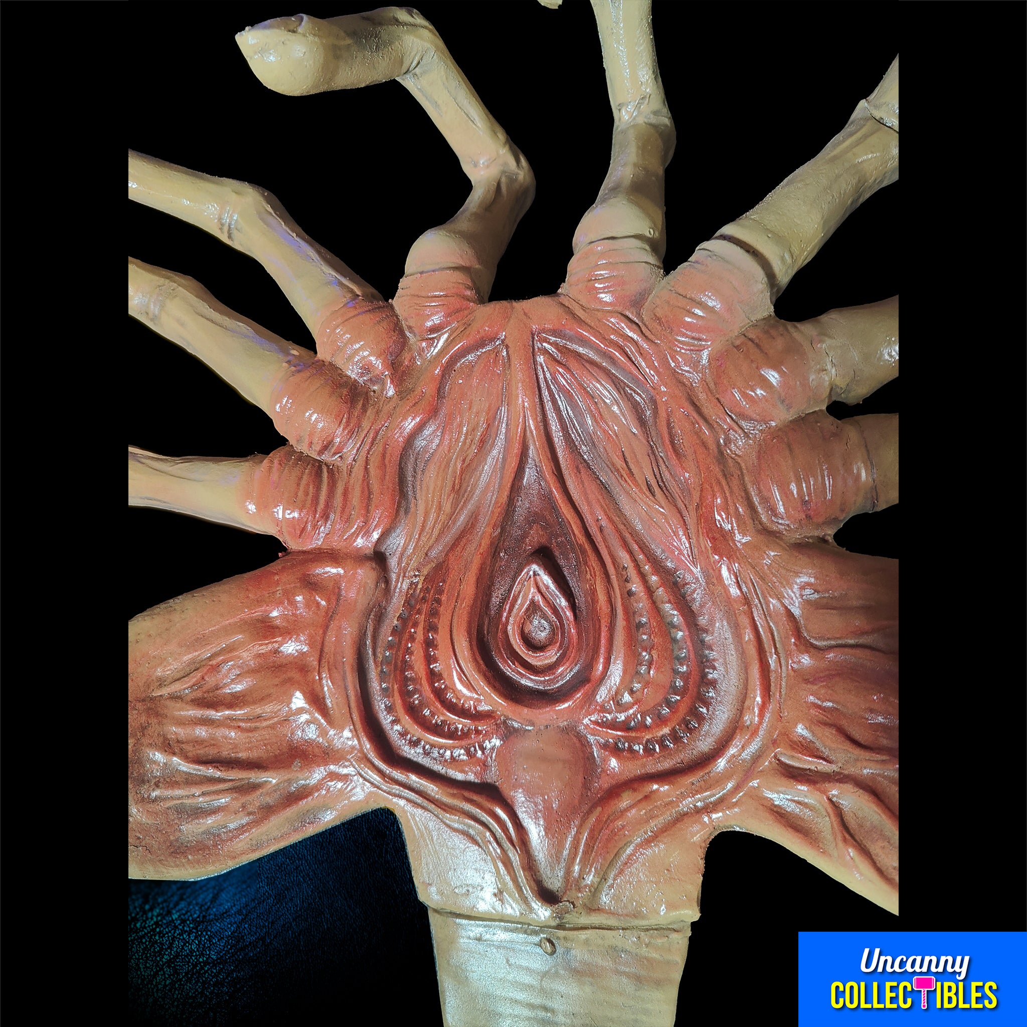 NECA Aliens Facehugger 1:1 Foam Replica Prop – Alien, NECA, 105 cm, 2023, brand new collector item, Uncanny Collectibles Dublin Ireland