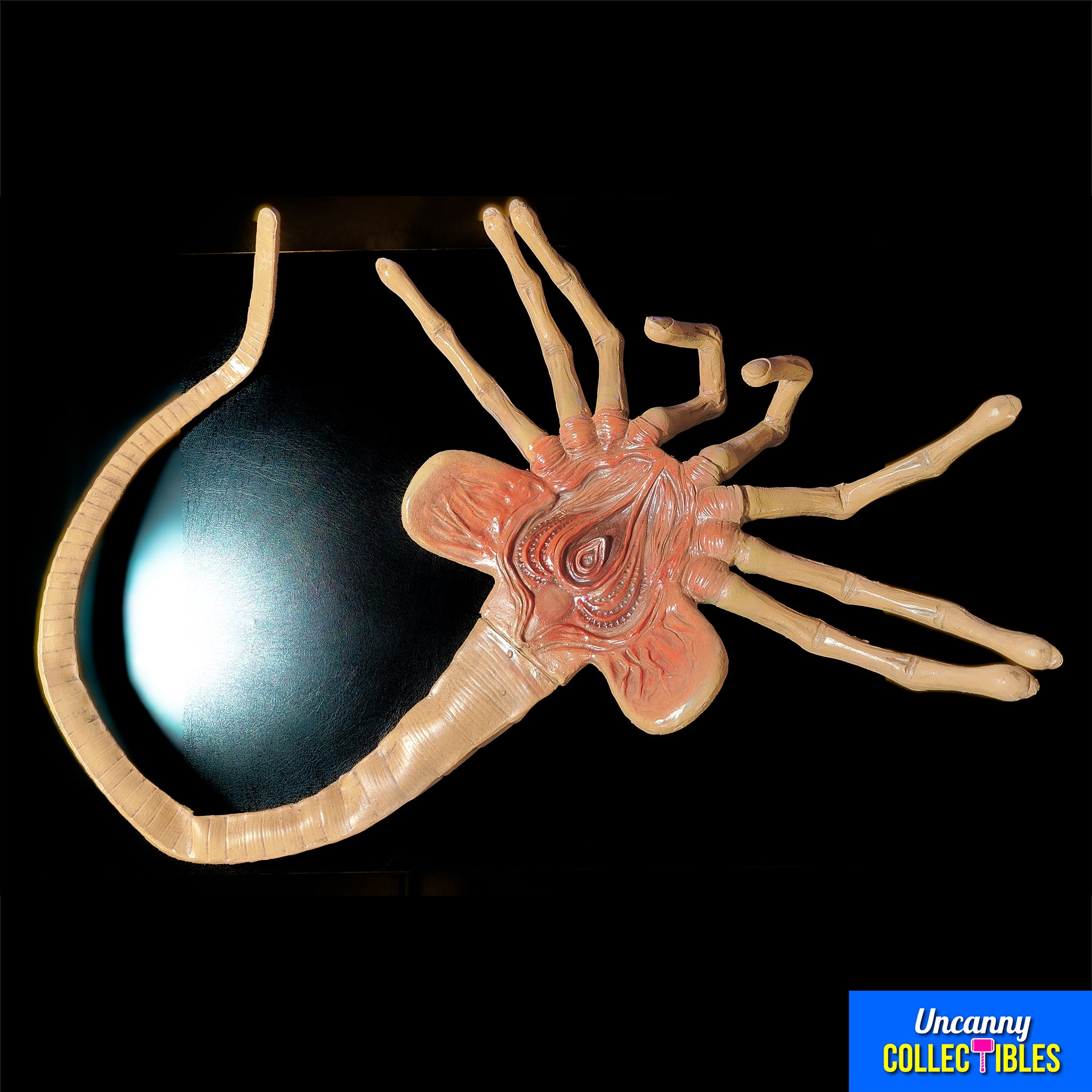 NECA Aliens Facehugger 1:1 Foam Replica Prop – Alien, NECA, 105 cm, 2023, brand new collector item, Uncanny Collectibles Dublin Ireland