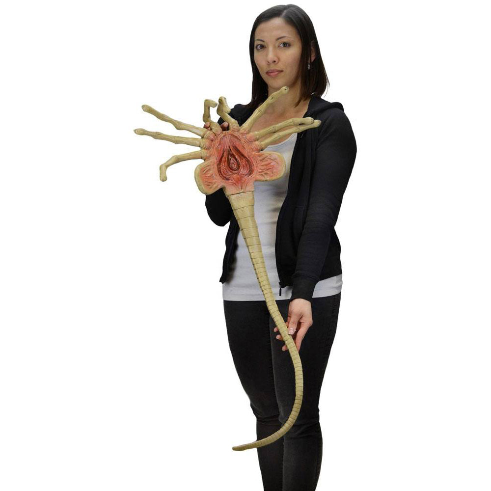 NECA Aliens Facehugger 1:1 Foam Replica Prop – Alien, NECA, 105 cm, 2023, brand new collector item, Uncanny Collectibles Dublin Ireland
