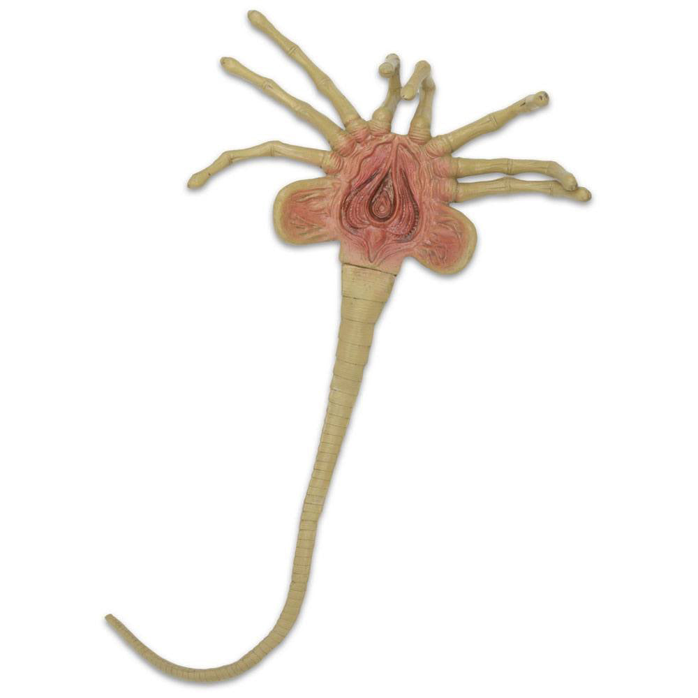 NECA Aliens Facehugger 1:1 Foam Replica Prop – Alien, NECA, 105 cm, 2023, brand new collector item, Uncanny Collectibles Dublin Ireland