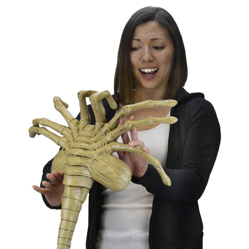 NECA Aliens Facehugger 1:1 Foam Replica Prop – Alien, NECA, 105 cm, 2023, brand new collector item, Uncanny Collectibles Dublin Ireland
