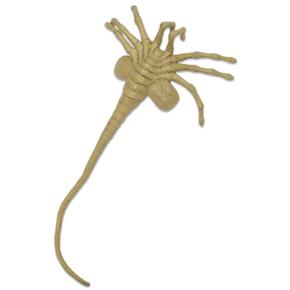 NECA Aliens Facehugger 1:1 Foam Replica Prop – Alien, NECA, 105 cm, 2023, brand new collector item, Uncanny Collectibles Dublin Ireland