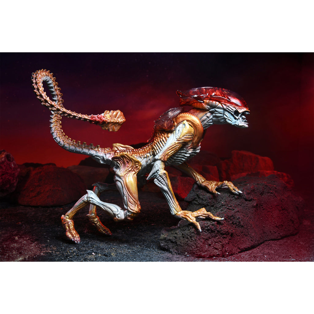 NECA Aliens Panther Alien Kenner Tribute Action Figure 20cm – Alien, NECA, 20 cm, brand new collector item, Uncanny Collectibles Dublin Ireland