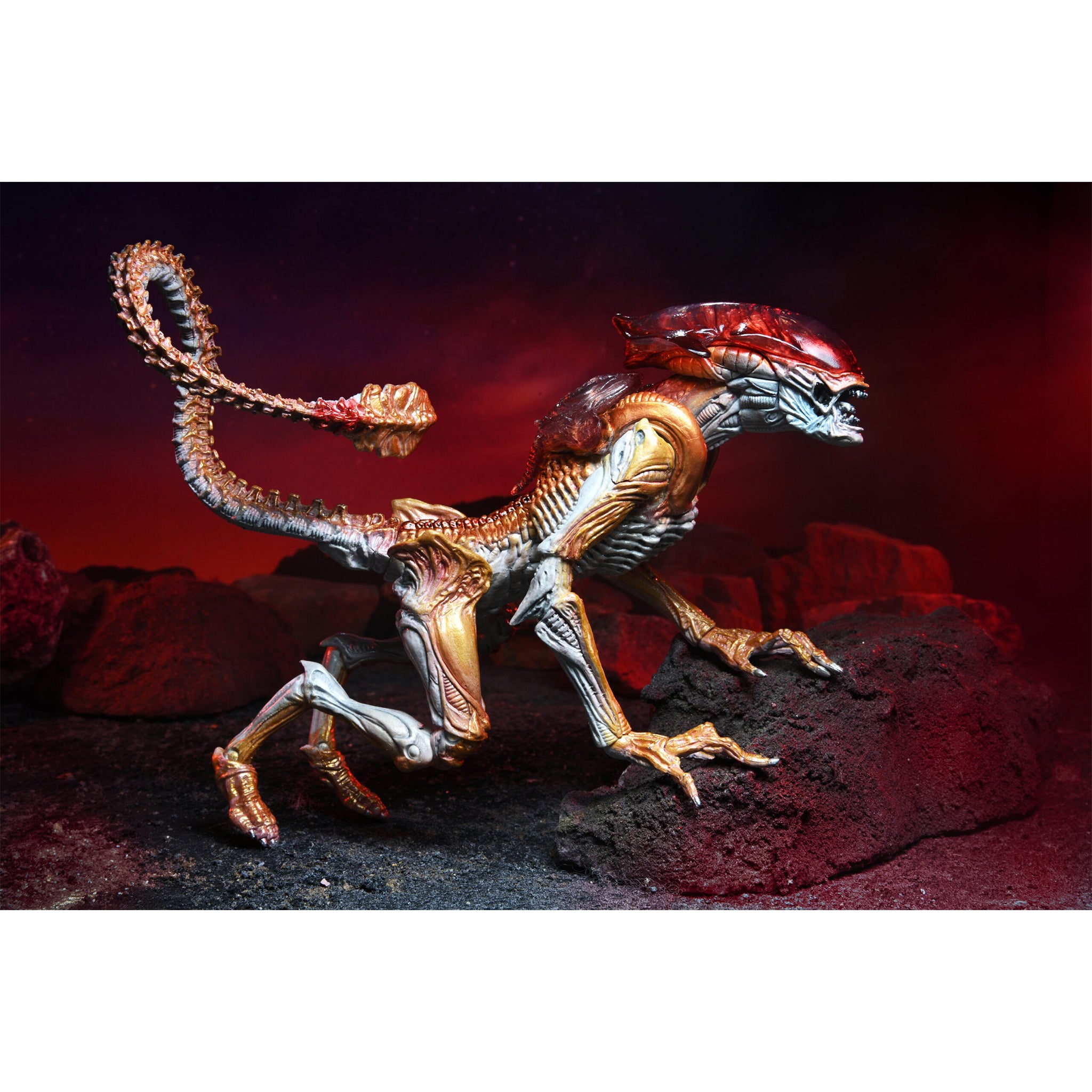 NECA Aliens Panther Alien Kenner Tribute Action Figure 20cm – Alien, NECA, 20 cm, brand new collector item, Uncanny Collectibles Dublin Ireland