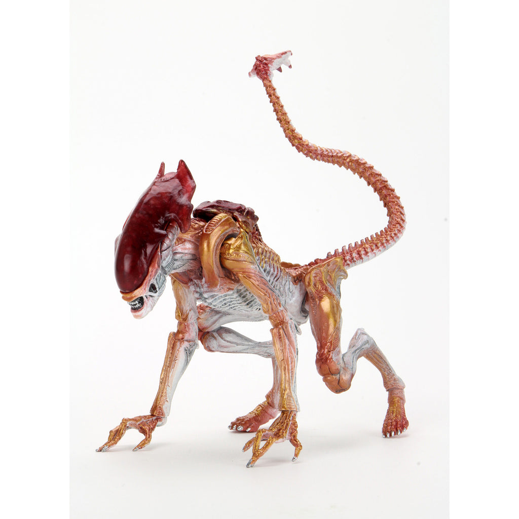 NECA Aliens Panther Alien Kenner Tribute Action Figure 20cm – Alien, NECA, 20 cm, brand new collector item, Uncanny Collectibles Dublin Ireland