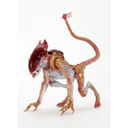 NECA Aliens Panther Alien Kenner Tribute Action Figure 20cm – Alien, NECA, 20 cm, brand new collector item, Uncanny Collectibles Dublin Ireland