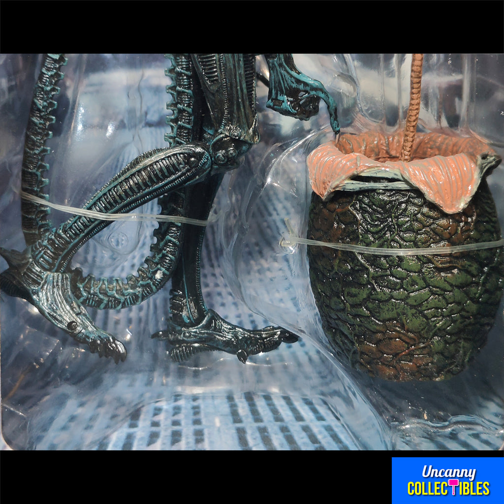 Aliens Ultimate Warrior Xenomorph NECA Figure - photo 6 of 37