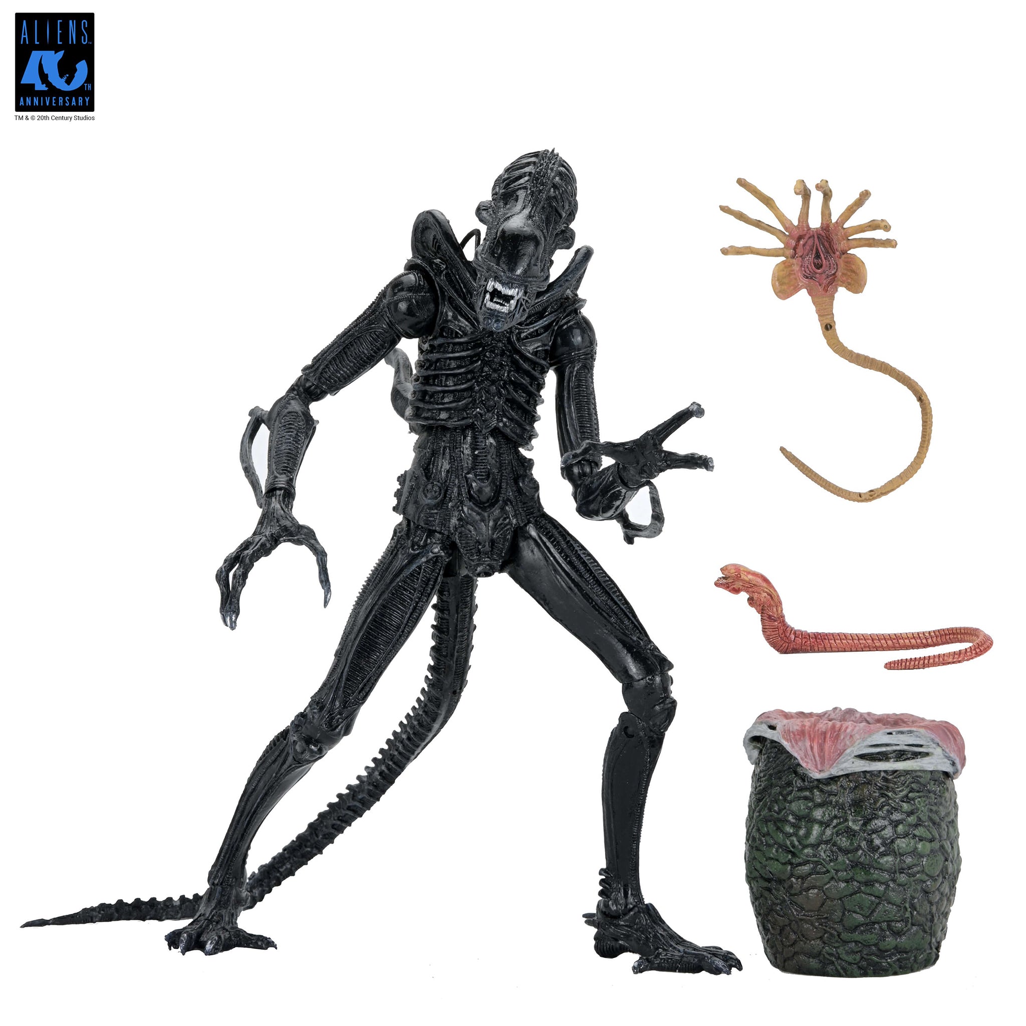 Aliens Ultimate Warrior Xenomorph NECA Figure – Uncanny Collectibles