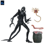 NECA Aliens Ultimate Warrior Xenomorph Action Figure, 20cm, 2026, new