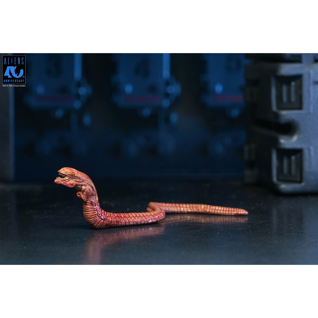 NECA Aliens Ultimate Warrior Xenomorph Action Figure – photo 4 of 23