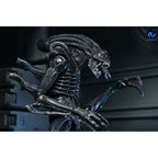 NECA Aliens Ultimate Warrior Xenomorph Action Figure – photo 5 of 23