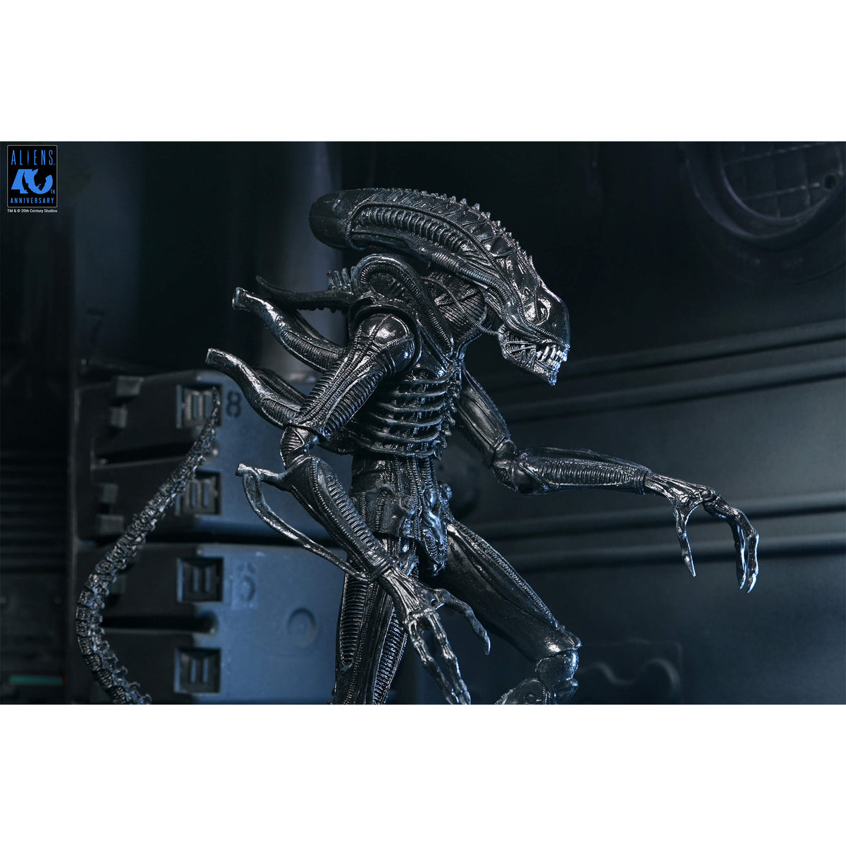 NECA Aliens Ultimate Warrior Xenomorph Action Figure – photo 6 of 23