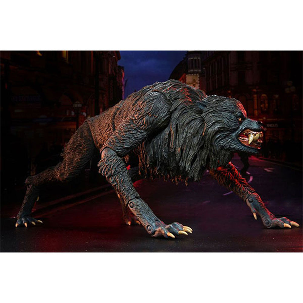 NECA American Werewolf In London Ultimate Kessler Werewolf Action Figure 28cm – An American Werewolf In London, NECA, 28 cm, brand new collector item, Uncanny Collectibles Dublin Ireland