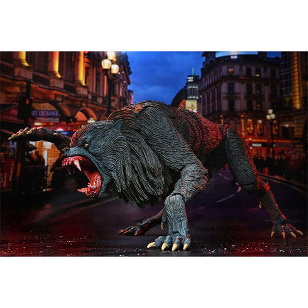 NECA American Werewolf In London Ultimate Kessler Werewolf Action Figure 28cm – An American Werewolf In London, NECA, 28 cm, brand new collector item, Uncanny Collectibles Dublin Ireland
