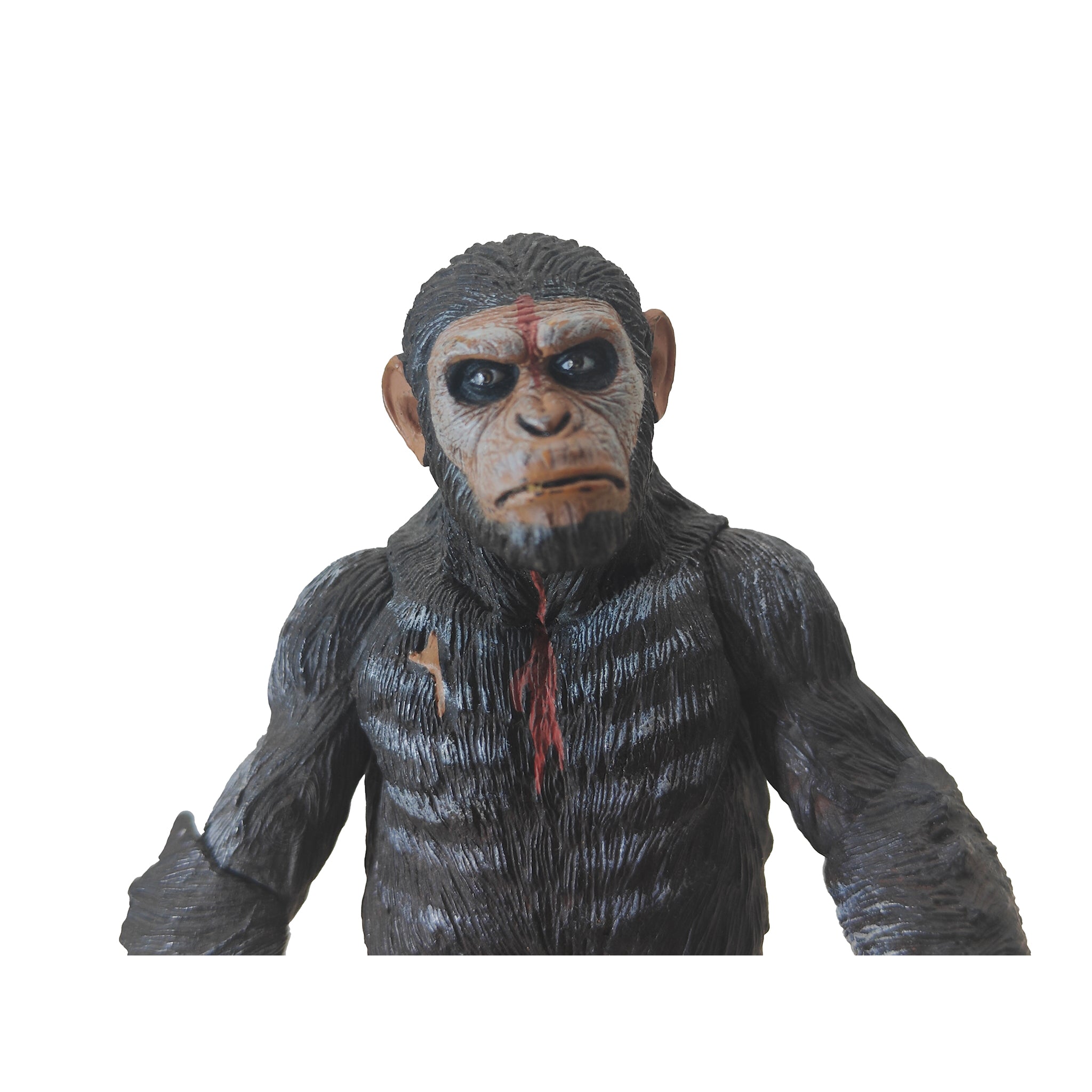 NECA Caesar Dawn Of The Planet Of The Apes Action Figure 2014 15cm – Movie Icons & Heroes, NECA, 18 cm, 2014, pre-owned collector piece, Uncanny Collectibles Dublin Ireland