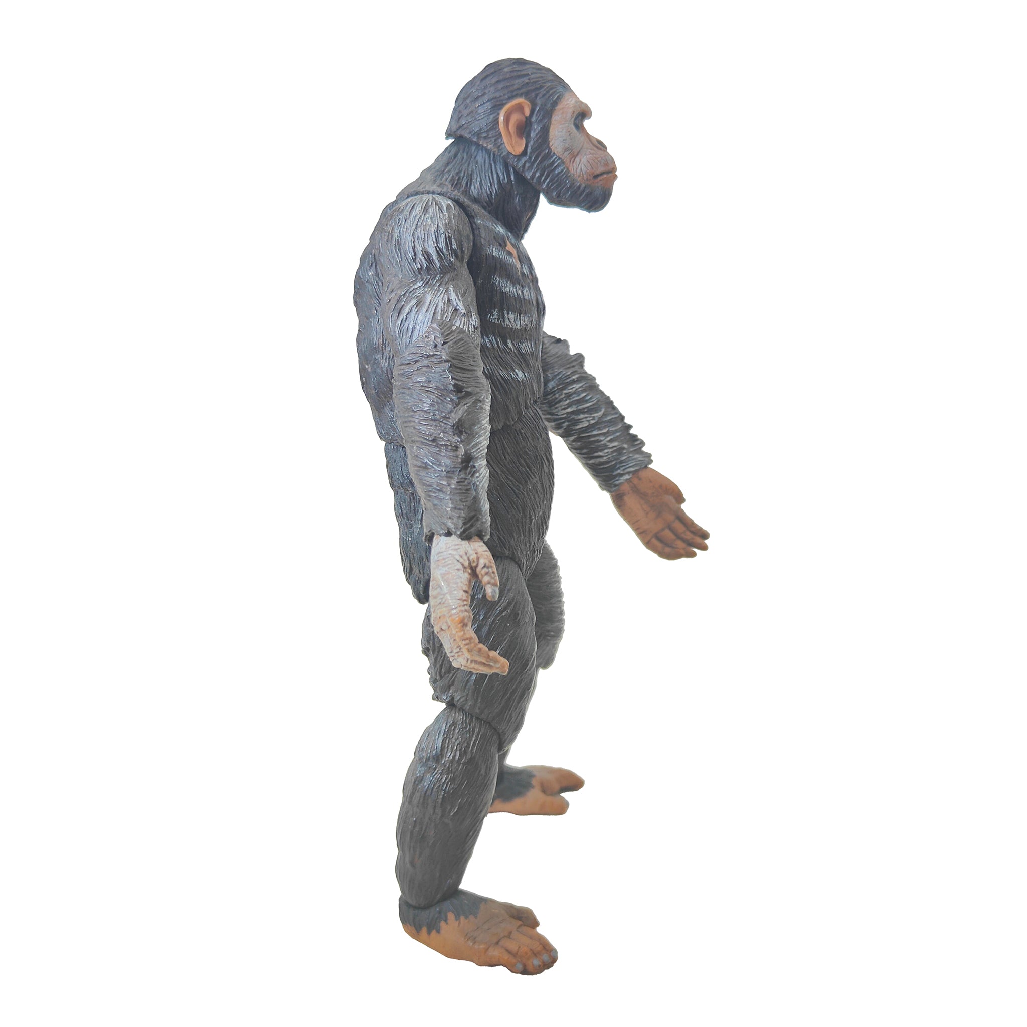 NECA Caesar Dawn Of The Planet Of The Apes Action Figure 2014 15cm – Movie Icons & Heroes, NECA, 18 cm, 2014, pre-owned collector piece, Uncanny Collectibles Dublin Ireland